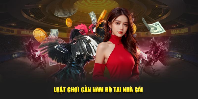 Luật chơi cần nắm rõ tại nhà cái 